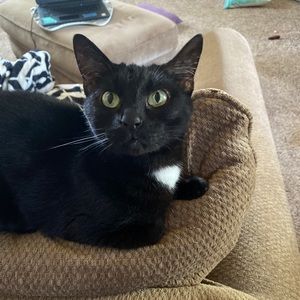 Meet your Posher, Haley